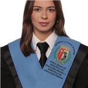 Profesora apta para dar clases de Primaria y ESO.